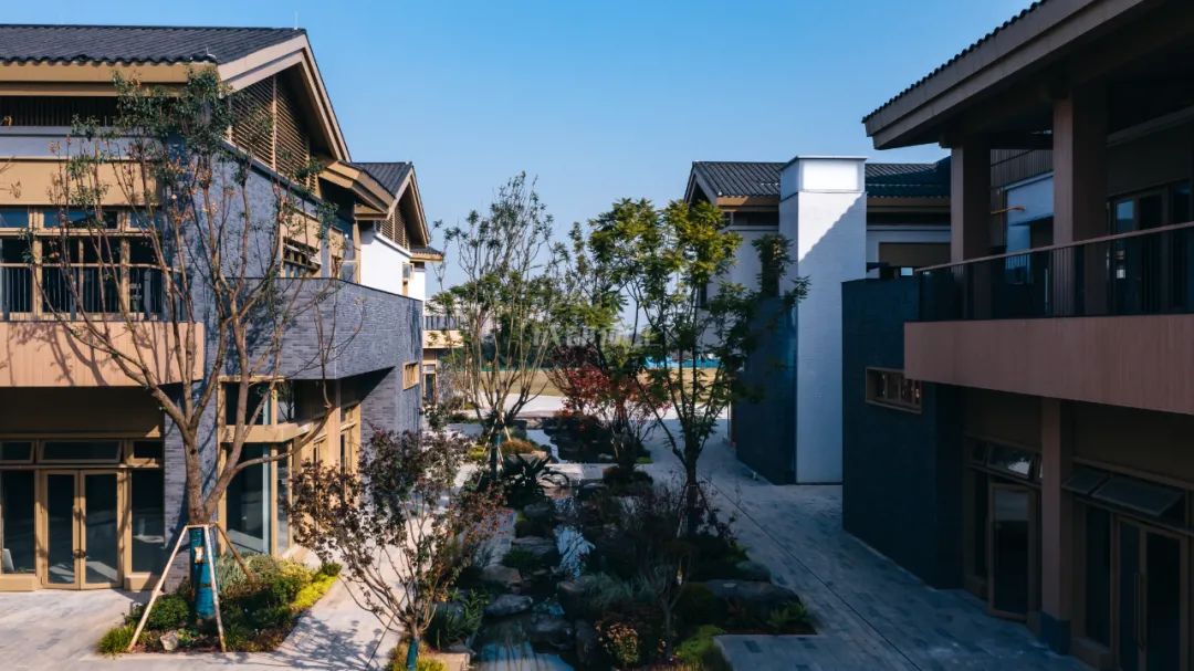 藏不住了，“北境之王”新都竟然还憋着“王炸”？