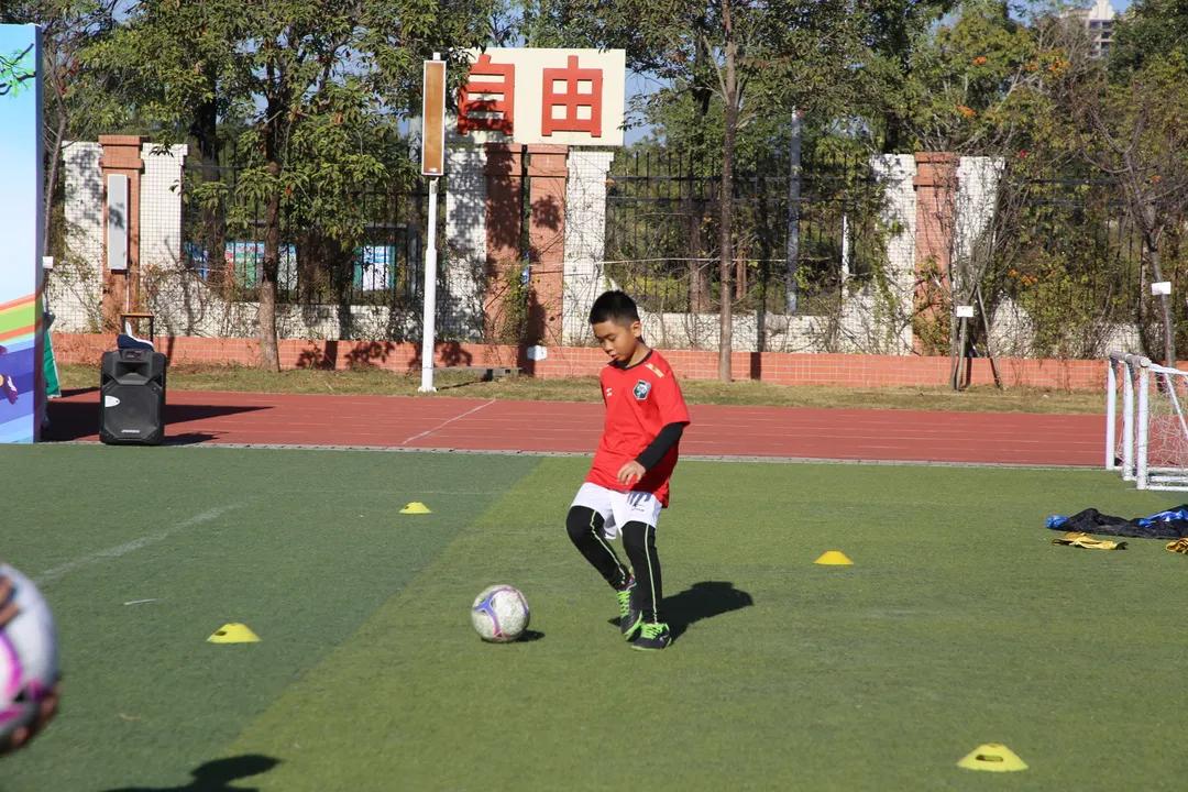我为群众办实事公益讲堂,我为群众办实事学生版活动方案