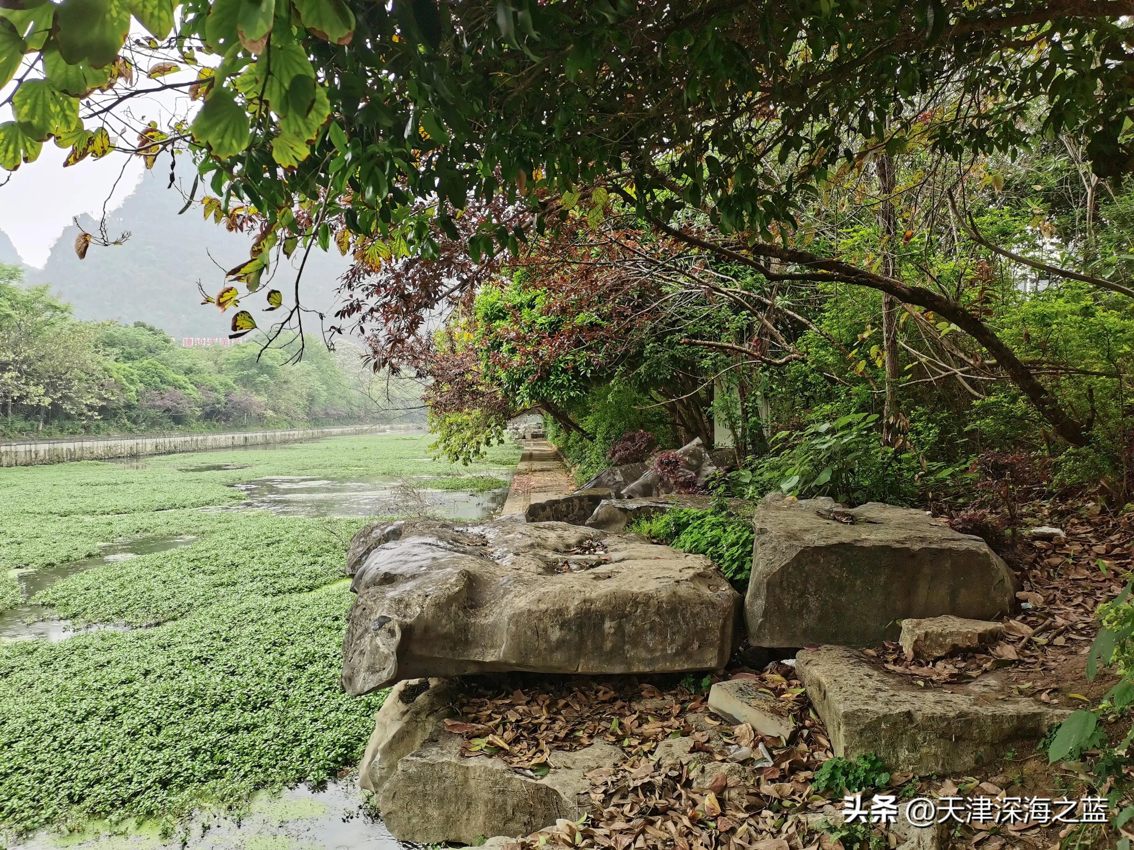 深蓝自由写记录今日的一些片段烟雨蒙蒙的桂林