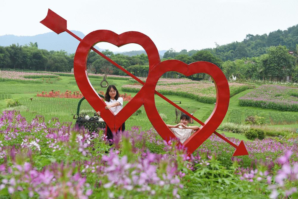 为四川宜宾点赞,为宜宾点赞