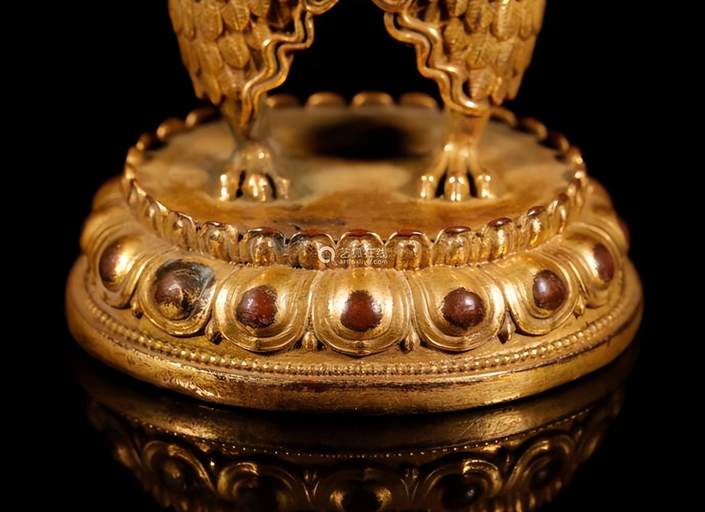 《金翅雀》内容赏析,金翅雀的描述