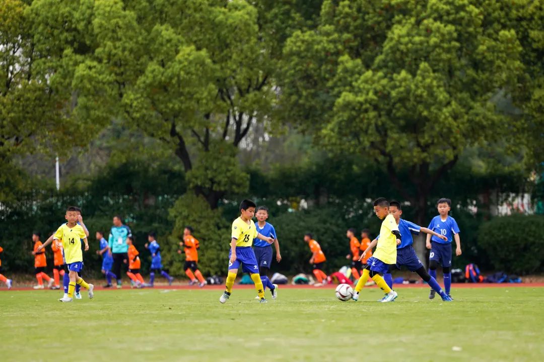 足彩竞彩中国体育彩票,足彩中国体育彩票竞彩