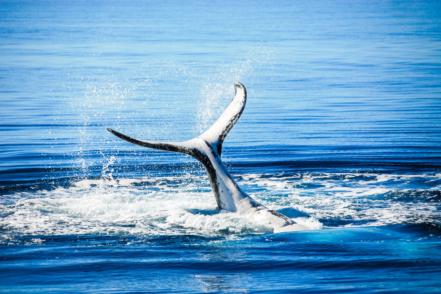全国冬季最值得去旅游的10个地方,最适合去旅游的100个城市