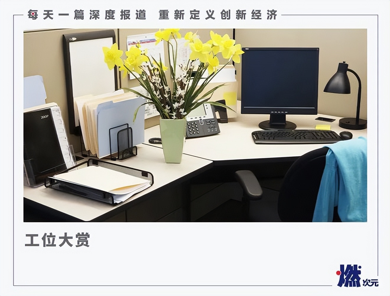 动物、绿植、手办，“花式”装饰丰富年轻人的办公桌