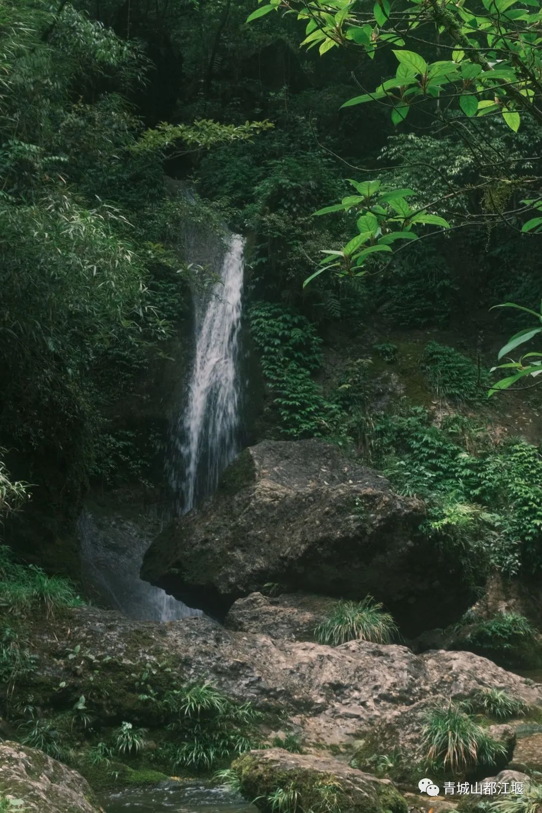 青城山森林秘境,青城山风光好去处