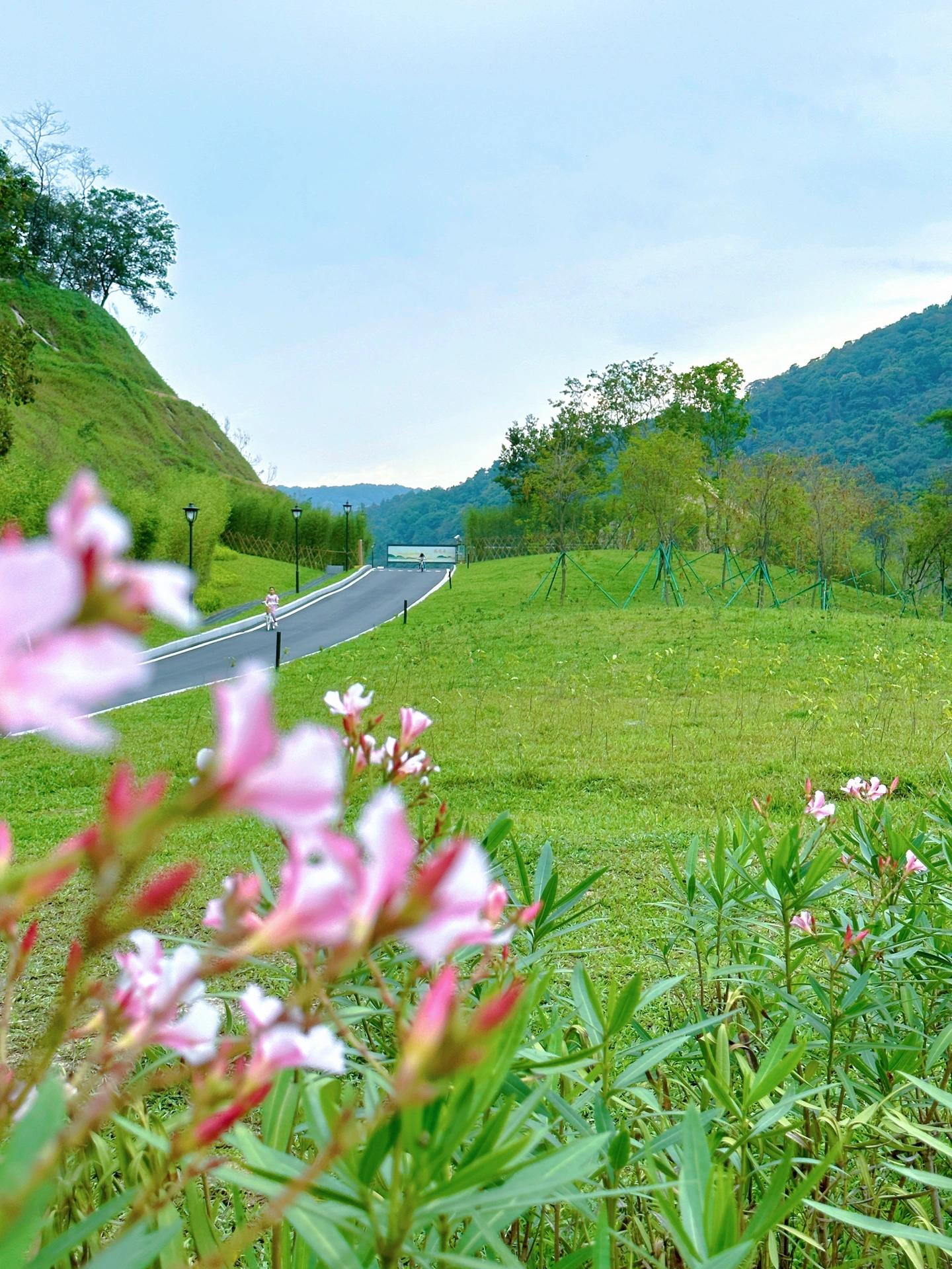 广州黄埔绿道游玩攻略,广州黄埔骑行绿道详细线路图
