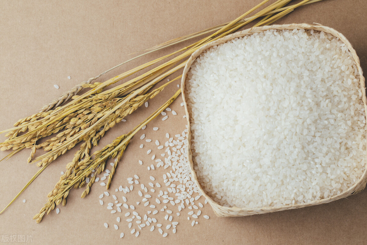 2050年人口破百亿,哪些农业“黑科技”,能让地球不因饥饿而流浪