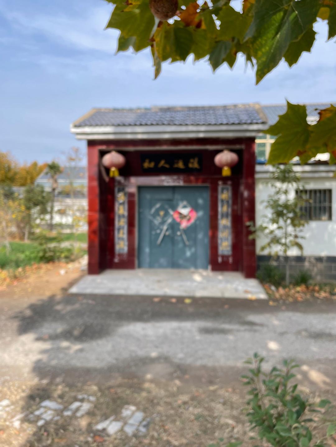 董董骑行山东,懂懂骑山东