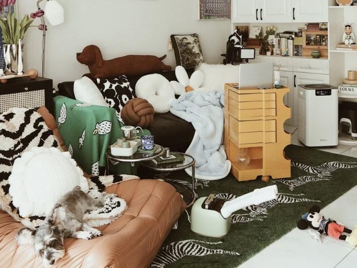 客厅沙发上到处都是衣服怎么办,沙发上一堆衣服怎么处理