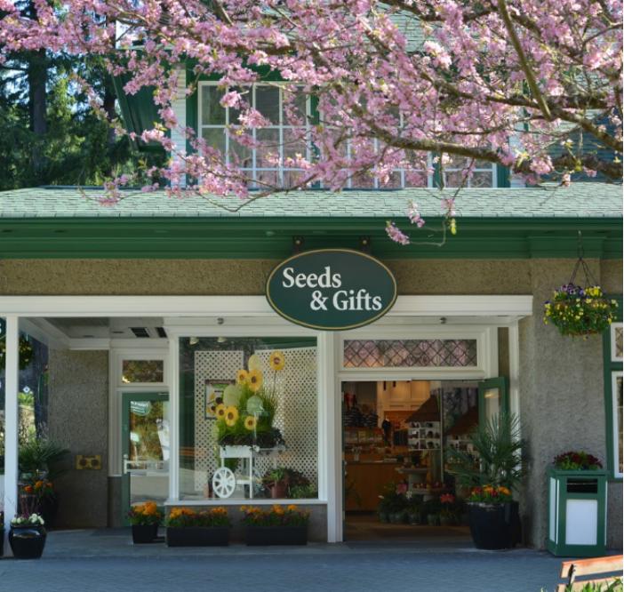 暑假哪里适合旅游买纪念品,去武汉回来带什么纪念品