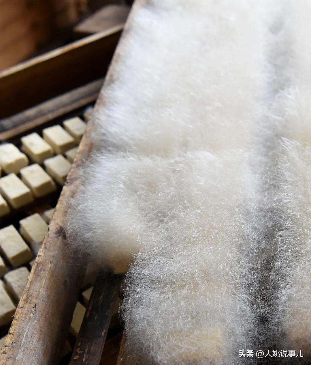 臭豆腐有“屎”吗?网友丧心病狂,在家自制“粪水”臭豆腐