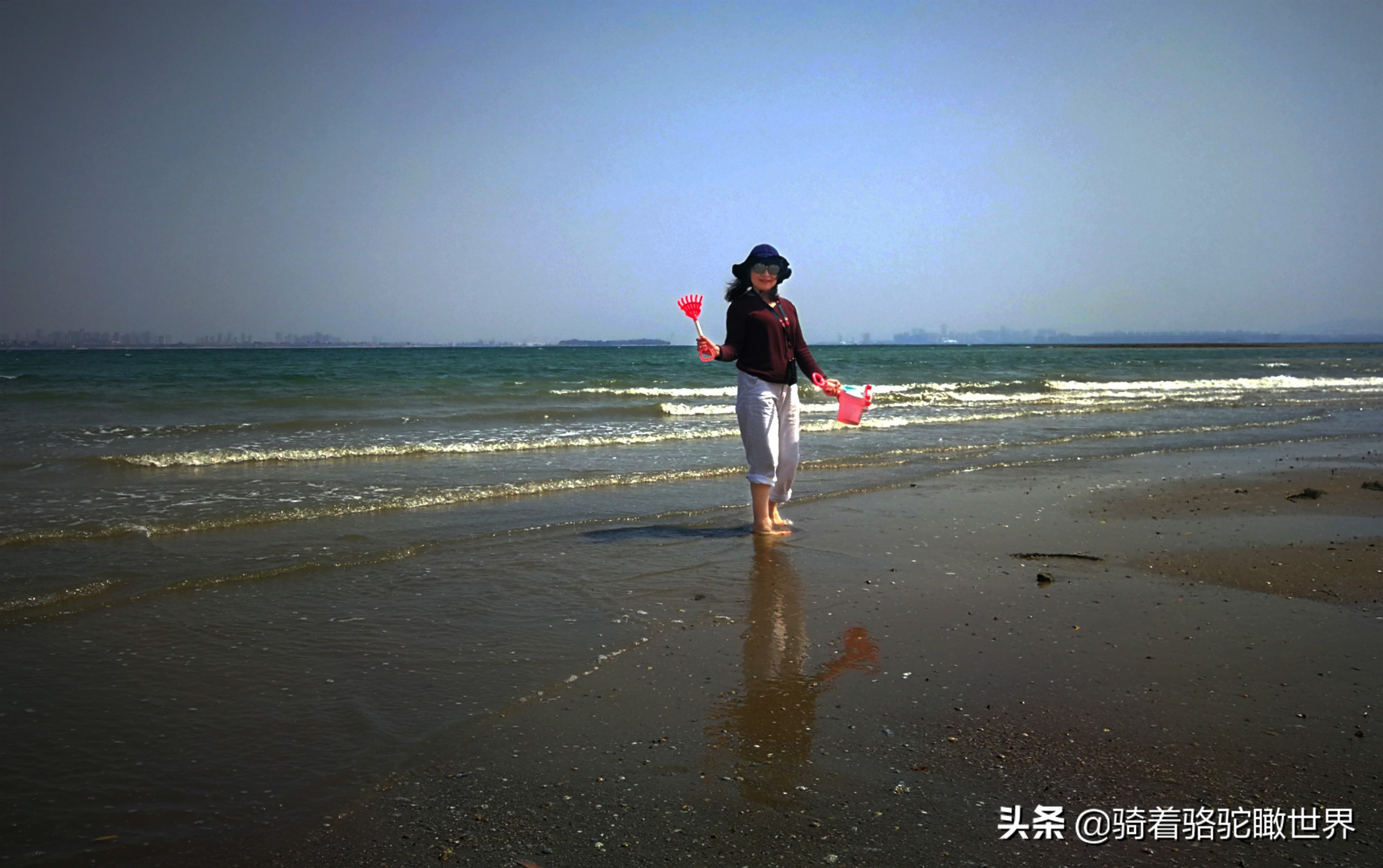 厦门彩虹沙滩哪一段赶海最好,黄金海岸赶海拾贝最佳地点