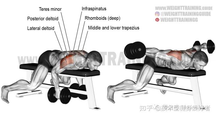 学会3个健身方法一个月练出肌肉,新手健身怎么练基础肌肉动作