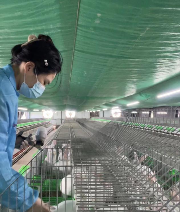 养兔子怎么干净卫生,养兔子的缺点和坏处