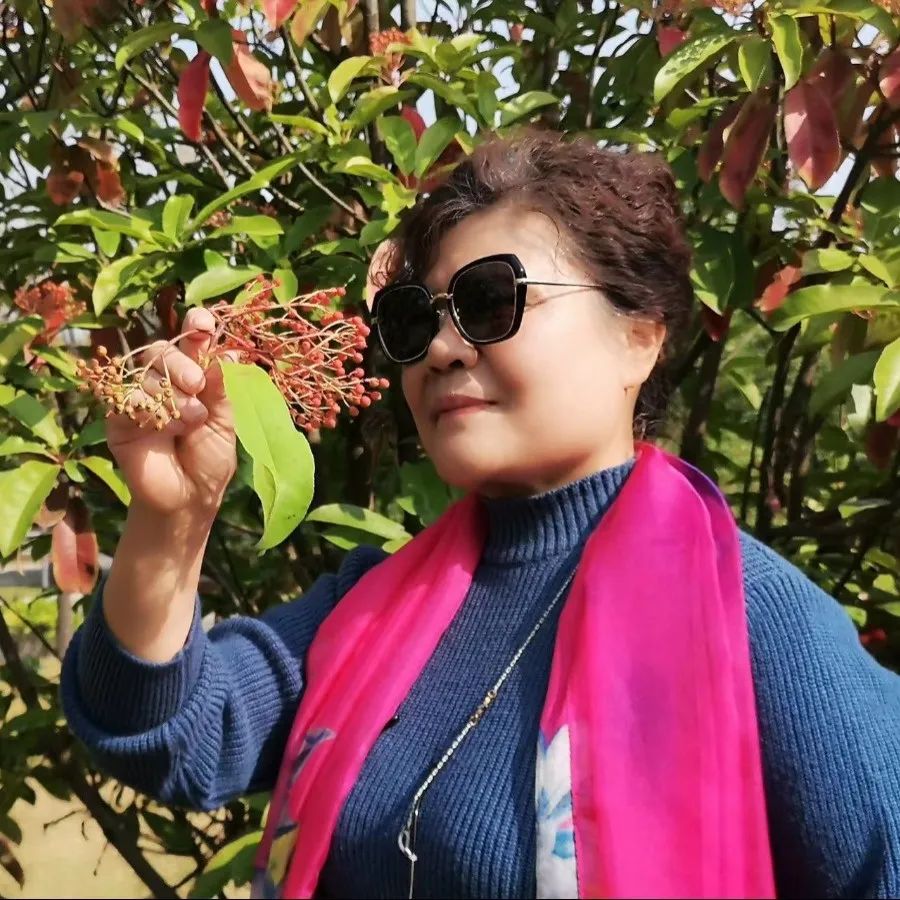 打开那扇充满阳光的窗户,春天开一扇晴窗