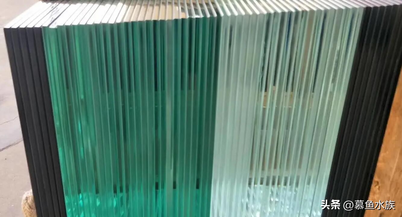 新手养鱼如何选鱼缸,新手养鱼怎样选择小鱼缸