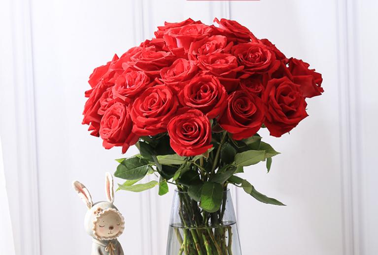 情人节收到的鲜花如何养护,女神节送什么花最好最合适