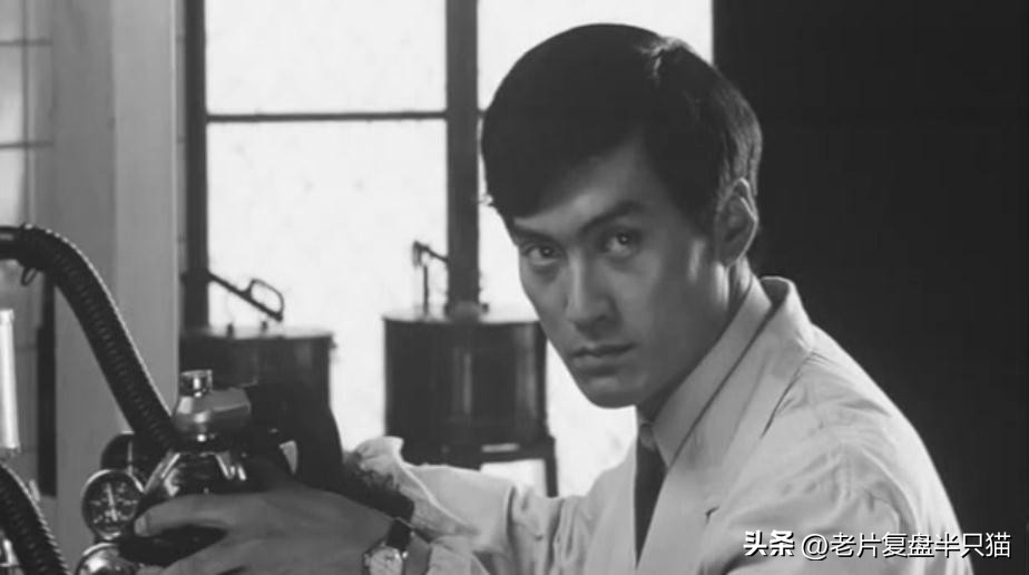 怪兽宇宙有多少只哥斯拉,怪兽宇宙哥斯拉历史