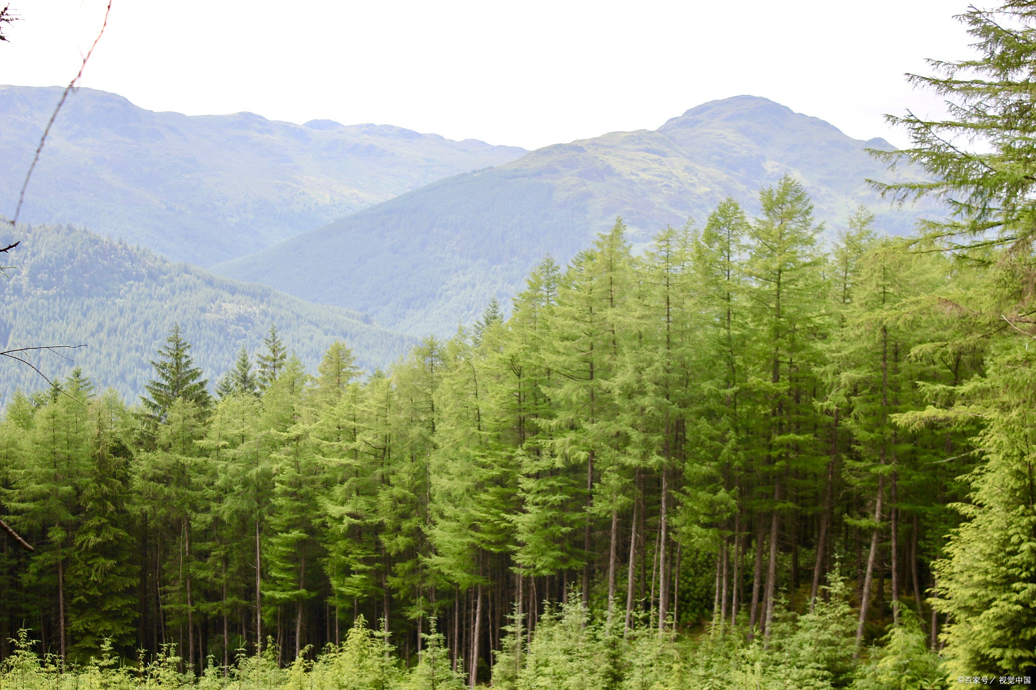 林业信息技术应用就业前景,林业研究生就业前景