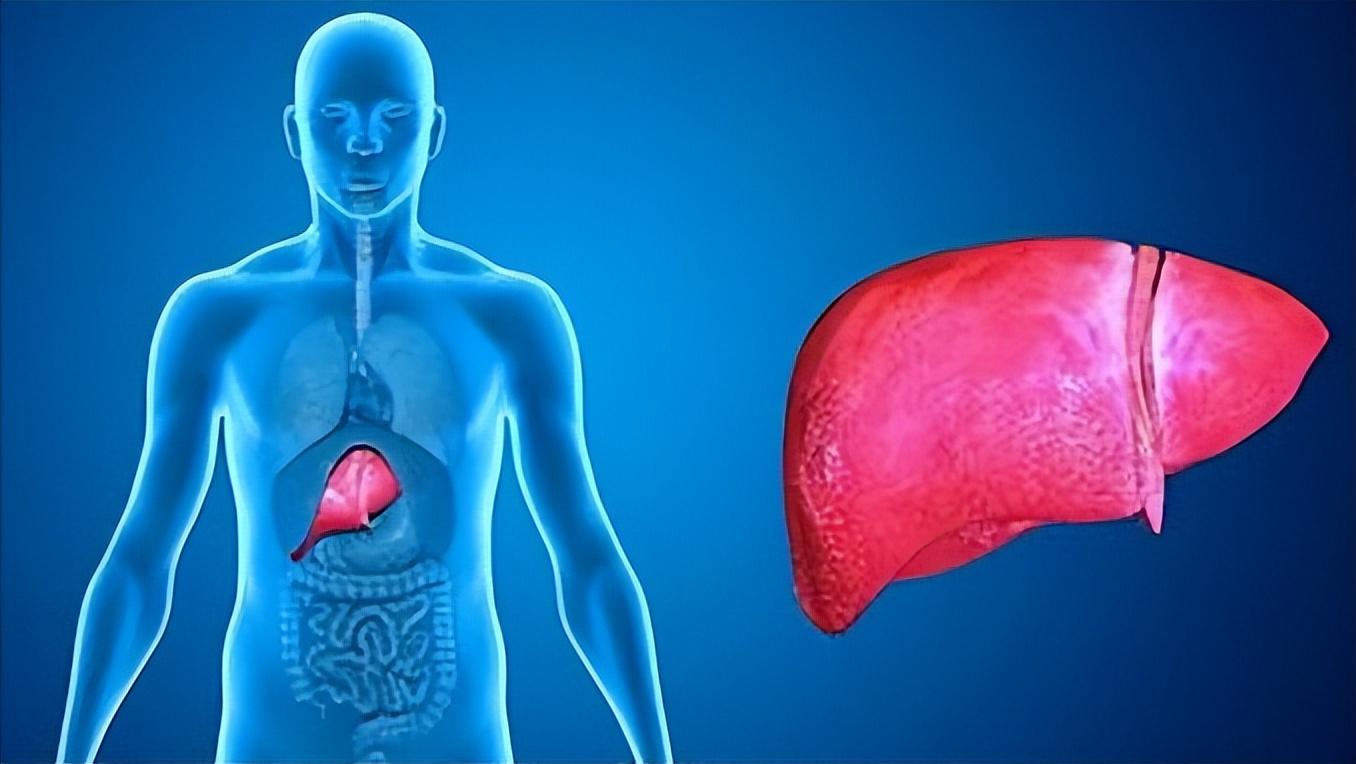 吃肉和吃素谁容易患癌,有人得癌症吃素癌症自然好的吗