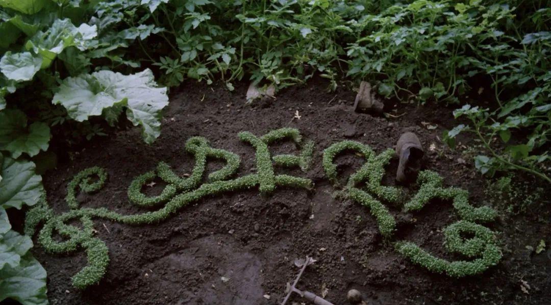 av画质和hd画质,av画质是指多少p