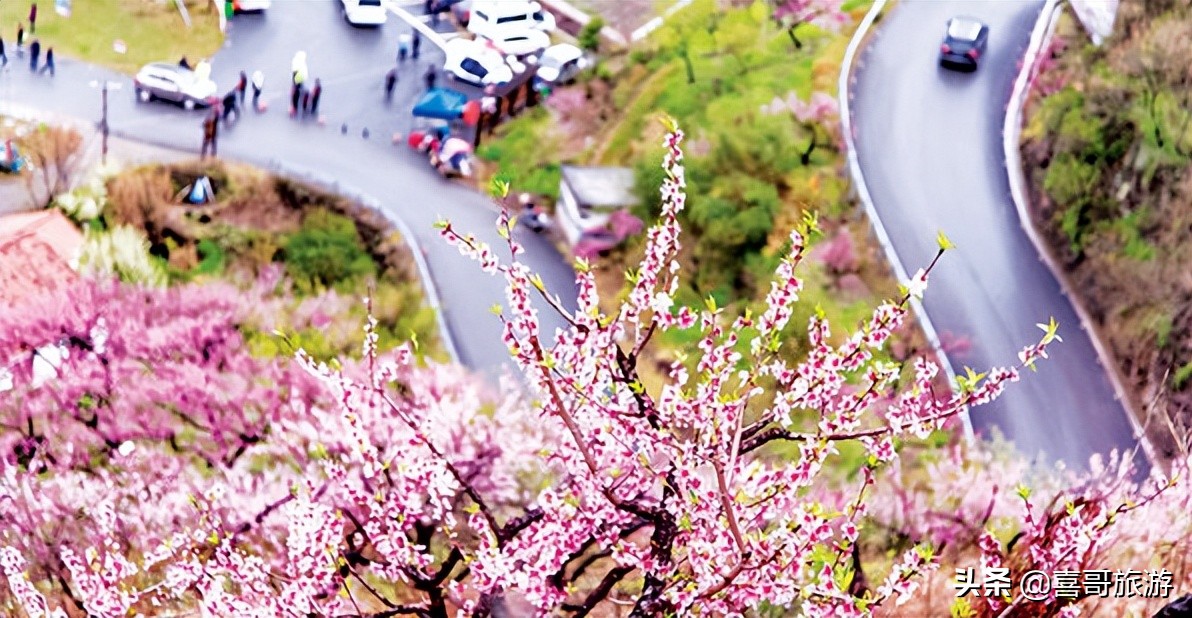 金华市金东区旅游攻略,金华金东周边自驾游景点