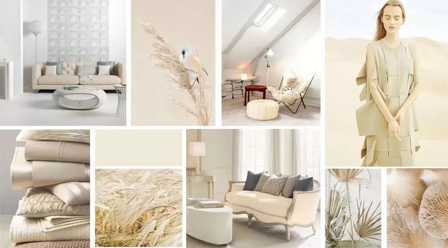 比米色优雅,比棕色显白,今夏的“裸肤色”凭什么火了?