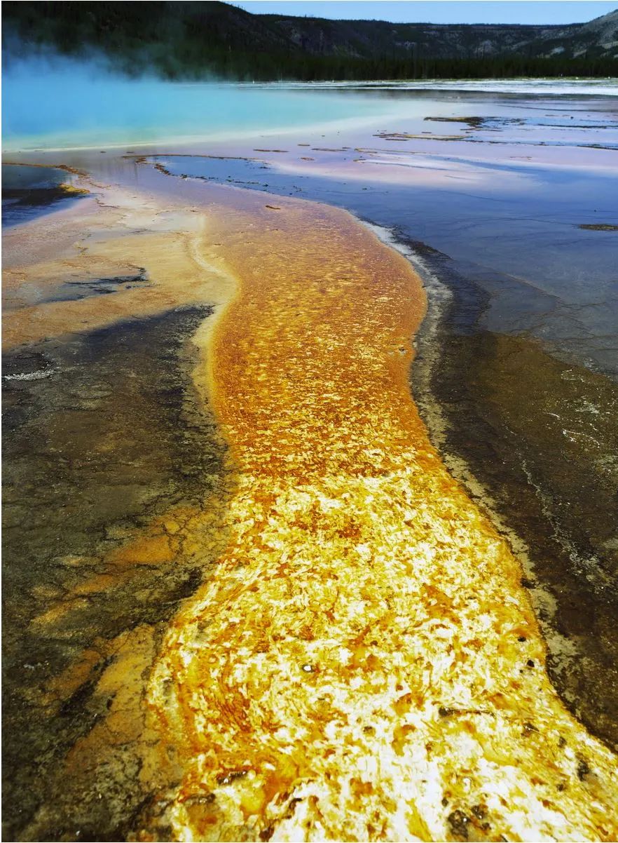 数码单反编年史黄金时代宾得篇,宾得数码单反大全