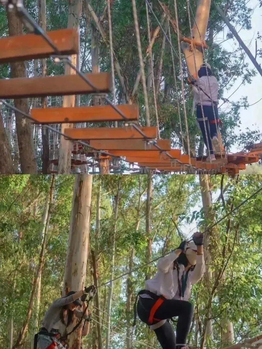 空港花田最好的地方,空港花田美景照最新