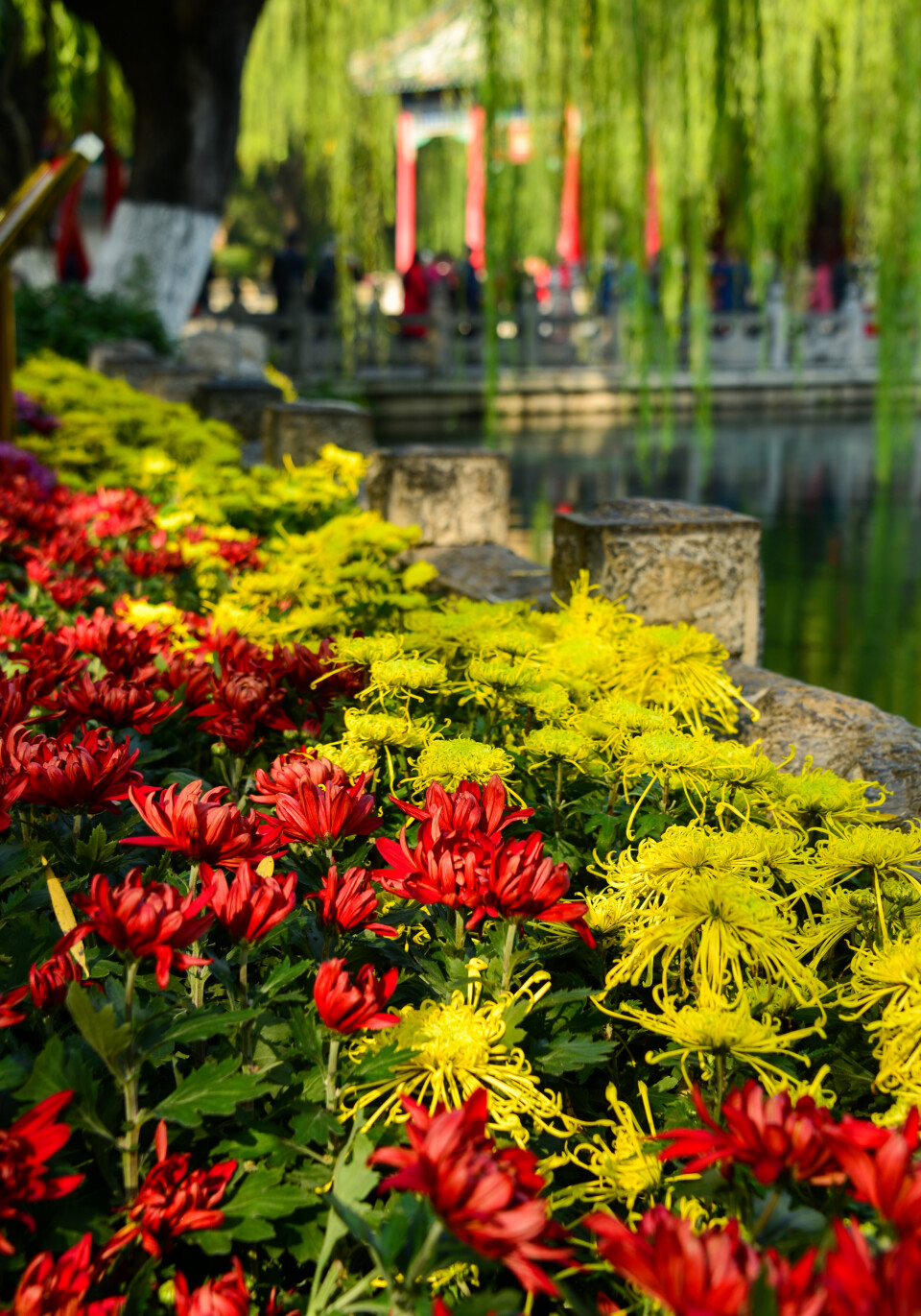 济南小众但是值得一去的地方,济南小众打卡圣地冬季