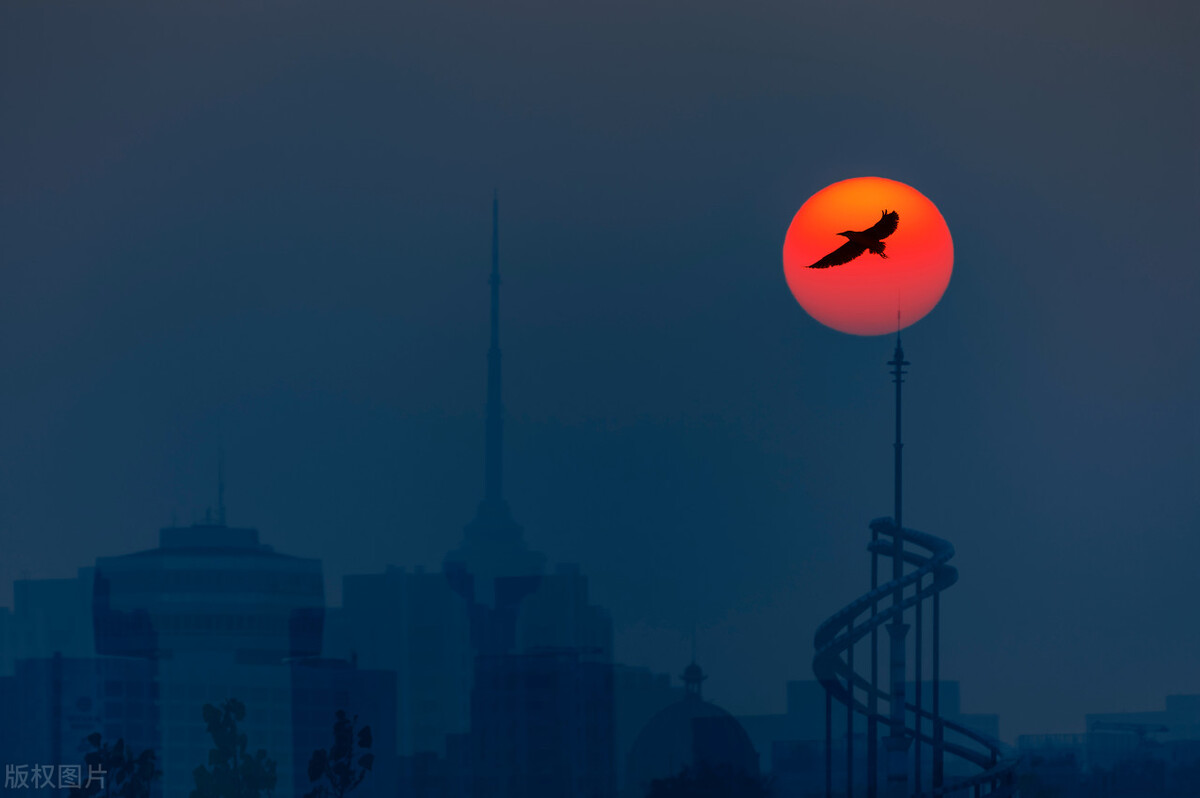 每一次相遇都是久别重逢王家卫,每一次相遇都是久别重逢的意思