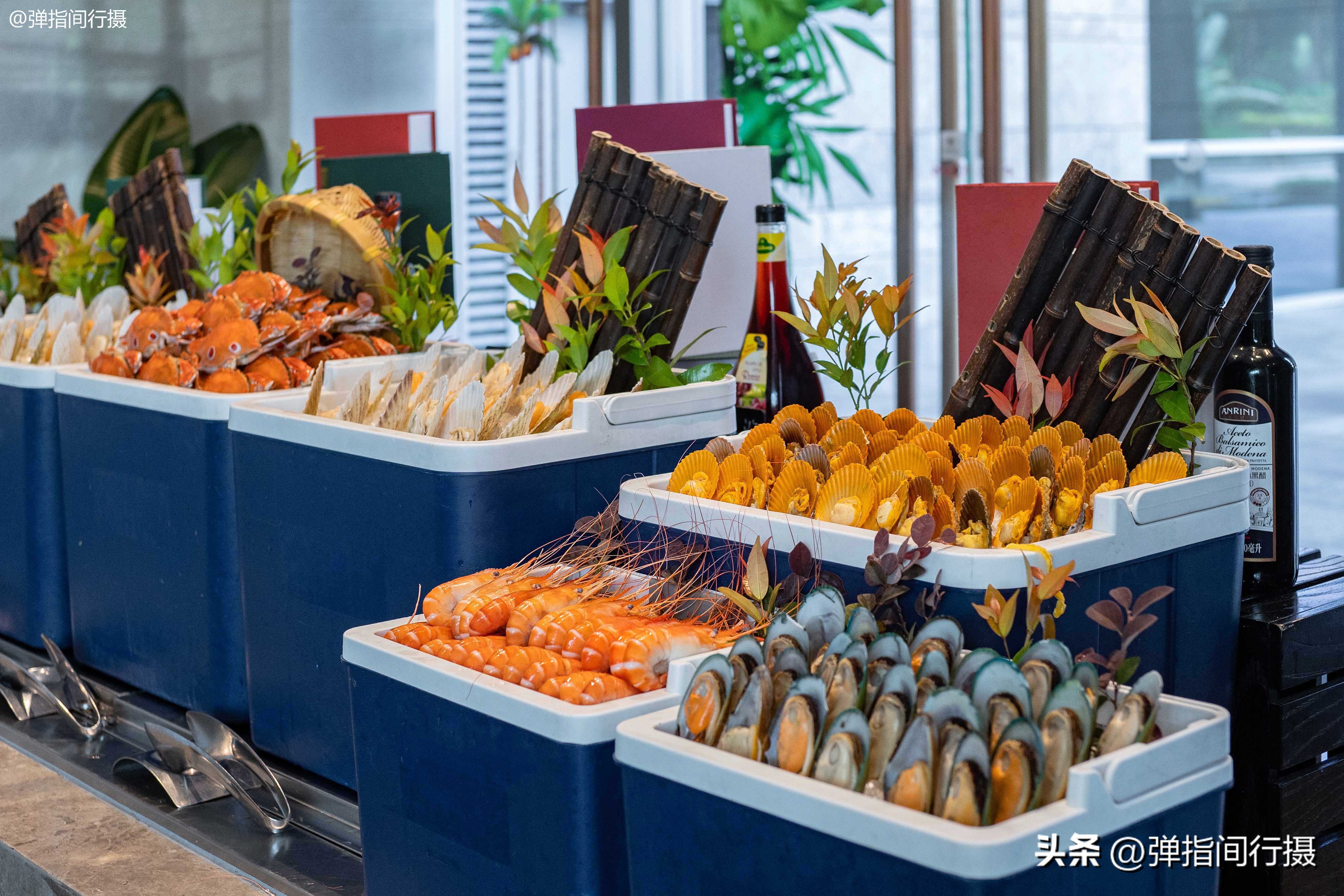 旅居深圳的日子,旅居办公两不误