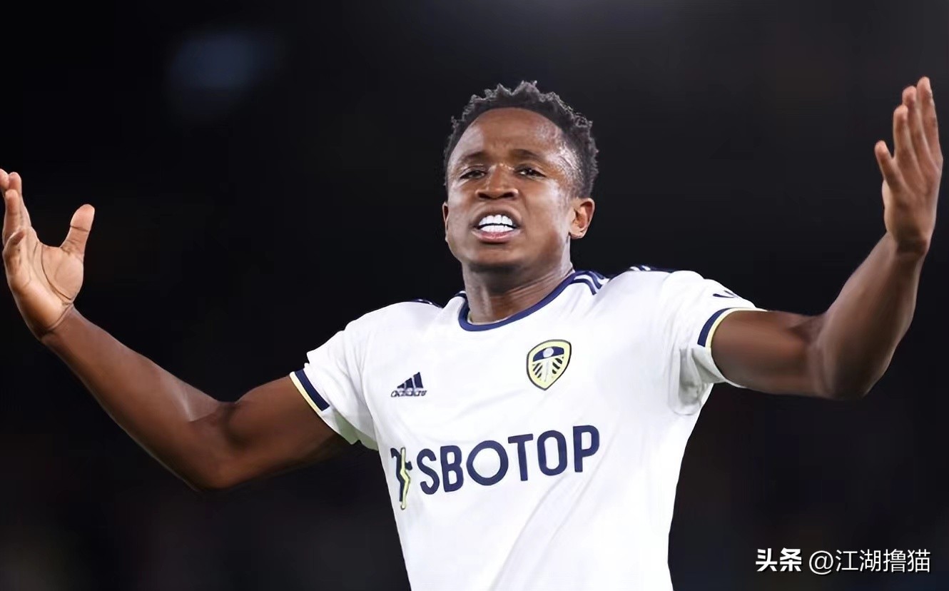 英超利兹联对阵纽卡斯尔比分预计,英超利兹联vs曼城预测