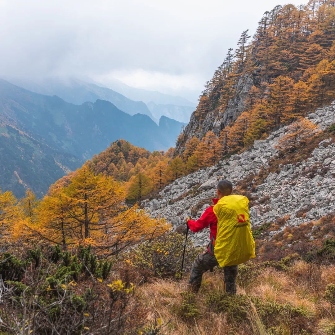 太白山是陕西最高点吗,秦岭最高峰太白山