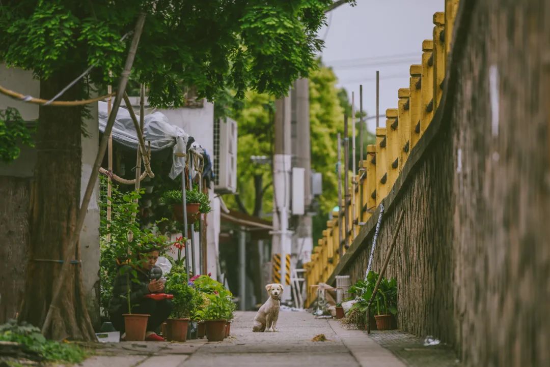 60岁之前必去的34省区最美天堂,最真实最美的旅游地方