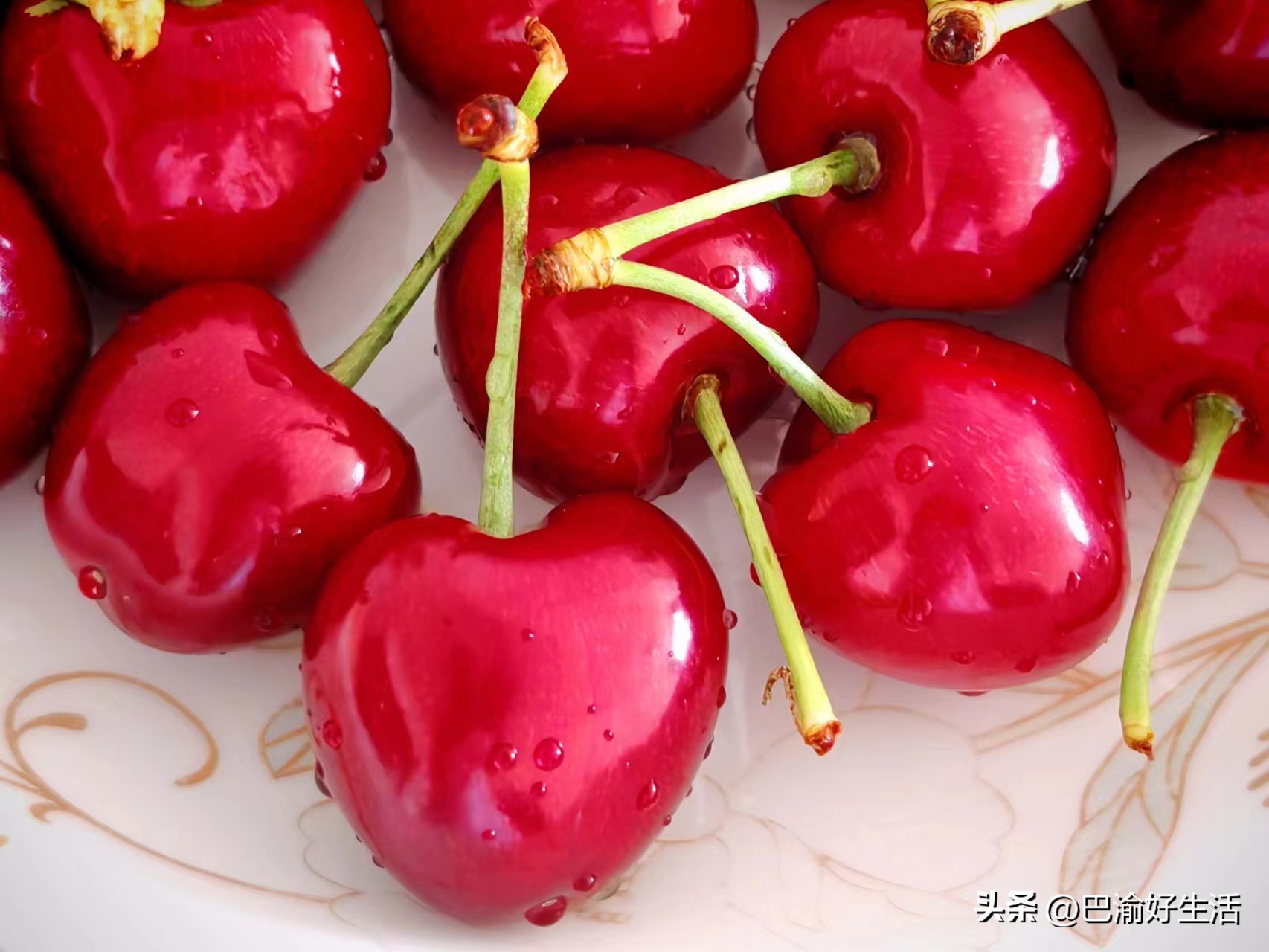 重庆到陕西高铁几个小时,重庆到兰州高铁几个小时