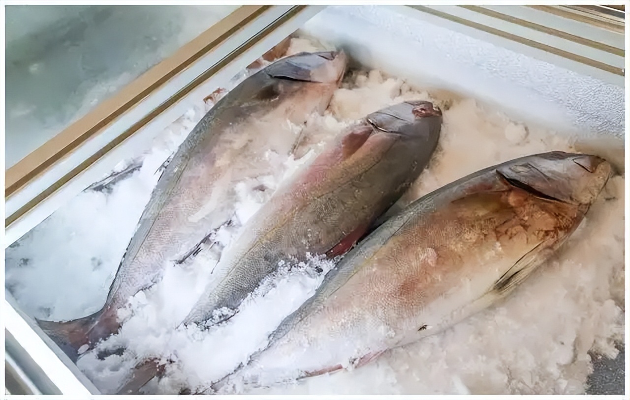 天热了这6道菜必吃,这5种鱼不建议食用