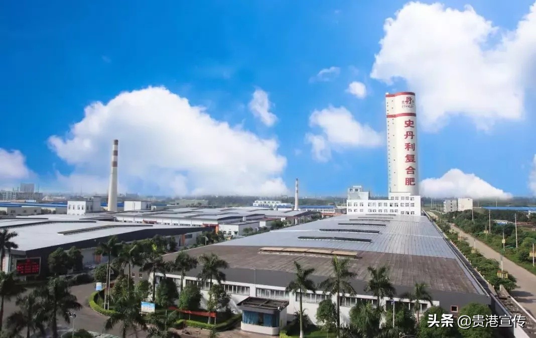 直播带岗招聘在哪个平台,直播带岗下半年计划