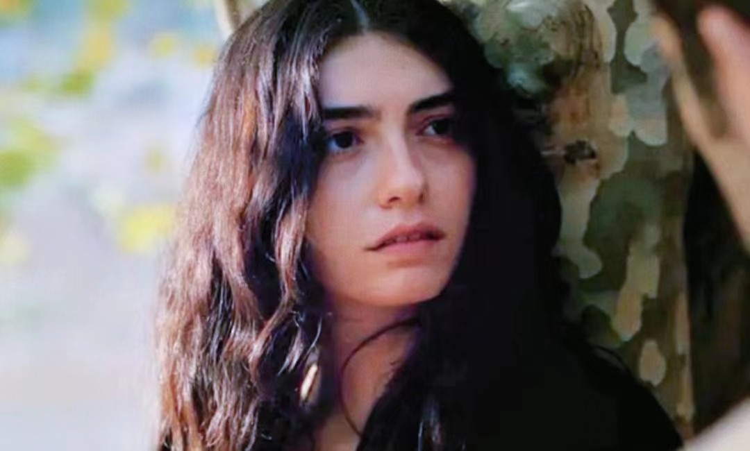 野梨树完整版免费观看,关于野梨树的电影