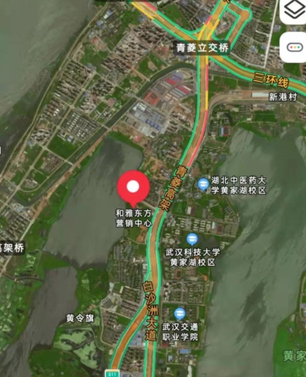 武汉洪山区青菱和雅东方楼盘进展,武汉青菱金科和雅东方