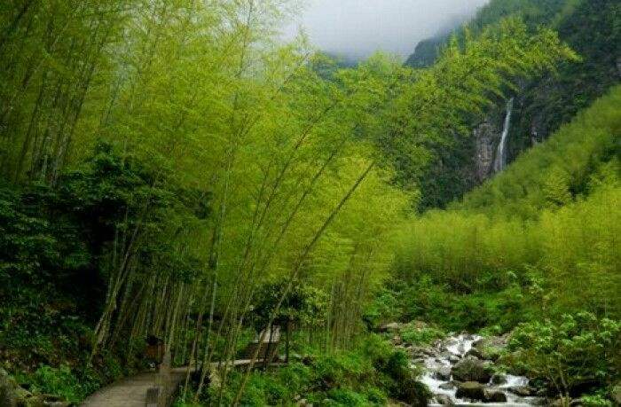 老农发现新物种,江西老农抓到神兽六不像