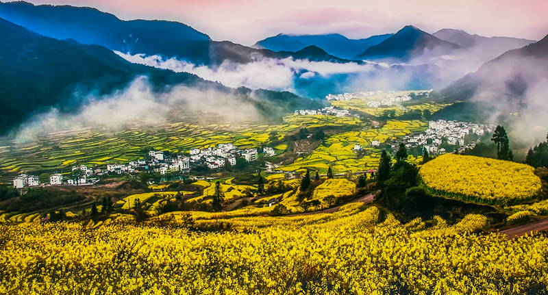 春色满园风景摄影,婺源摄影写真