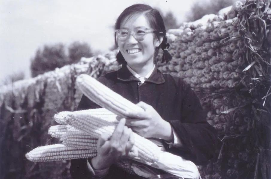 20世纪风云人物名单,20位革命英雄姓名