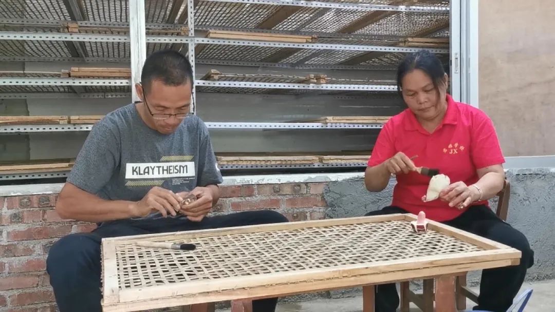 菌菇种植产业带动增收致富,菌菇种植助农增收