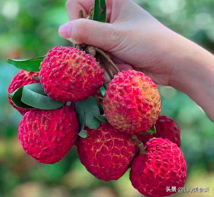 6月，有钱没钱，5种碱性果记得多吃，水分足口感好，应季食受益多