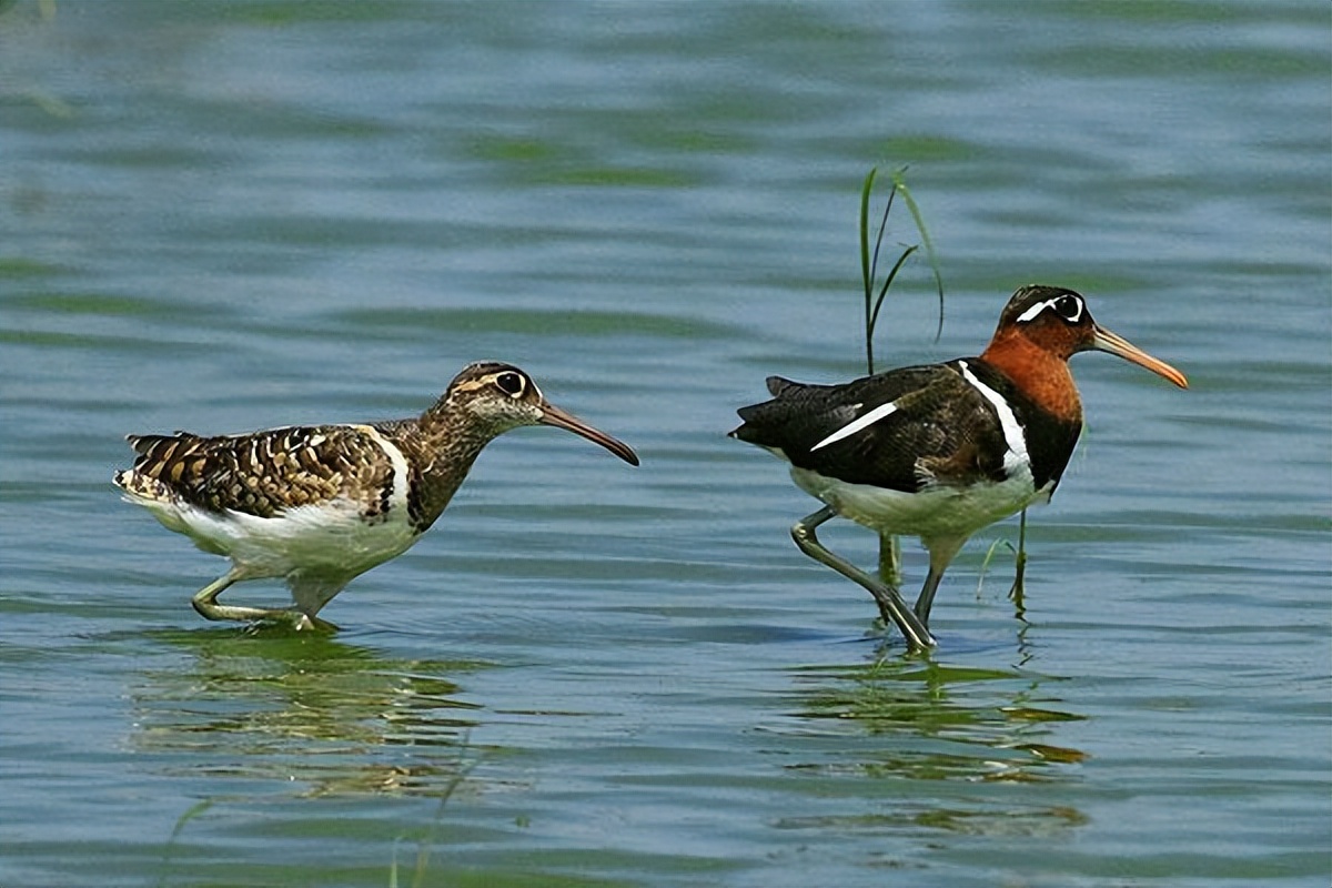 山东省济宁市是什么县,山东省济宁市情况
