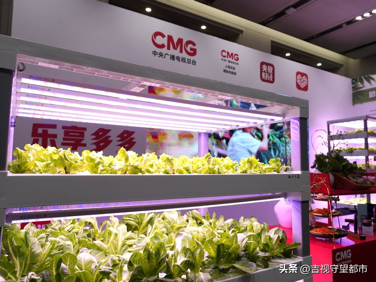 央视报道拼多多最新,拼多多打造五五购物节