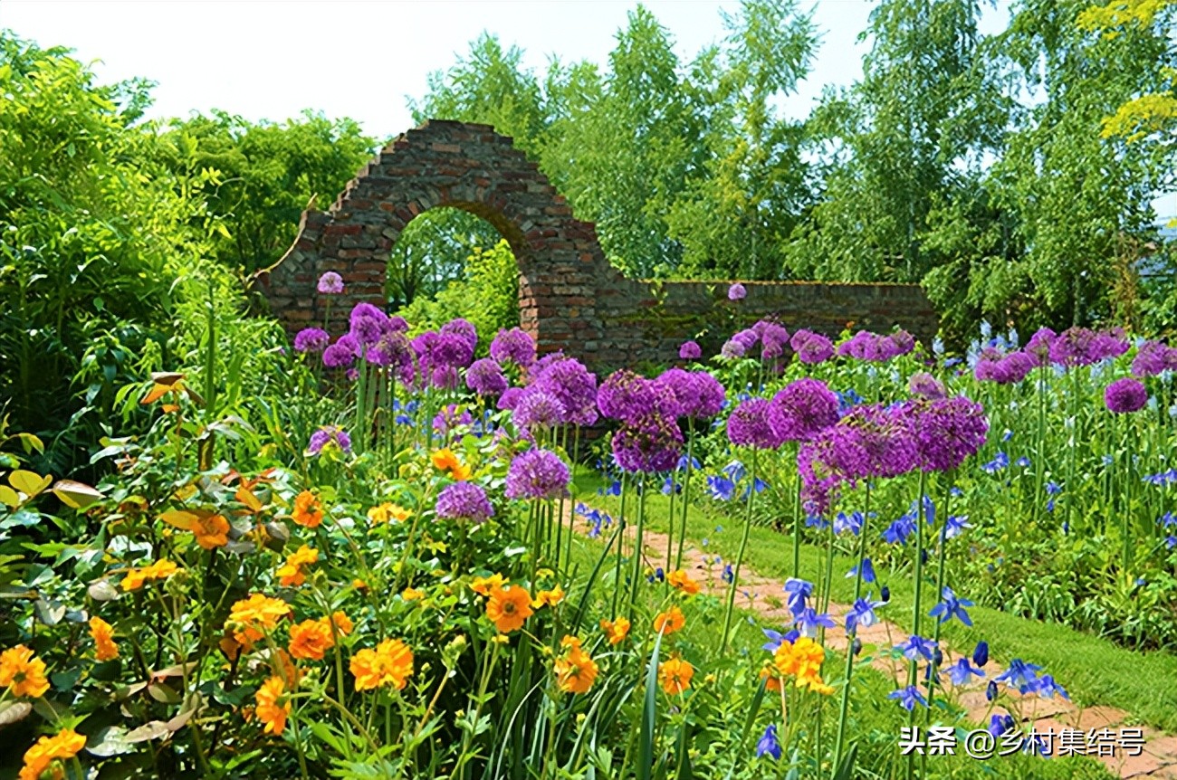 北海道上野农场,日本北海道上野农场