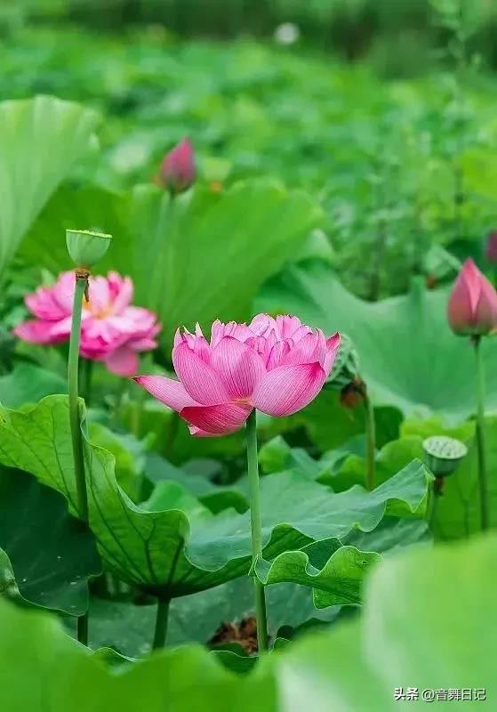 做自己不喜欢的工作才是最累的,每天做自己不感兴趣的工作好累