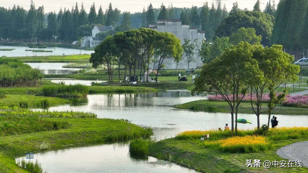 合肥游玩打卡圣地,合肥最美打卡地点推荐